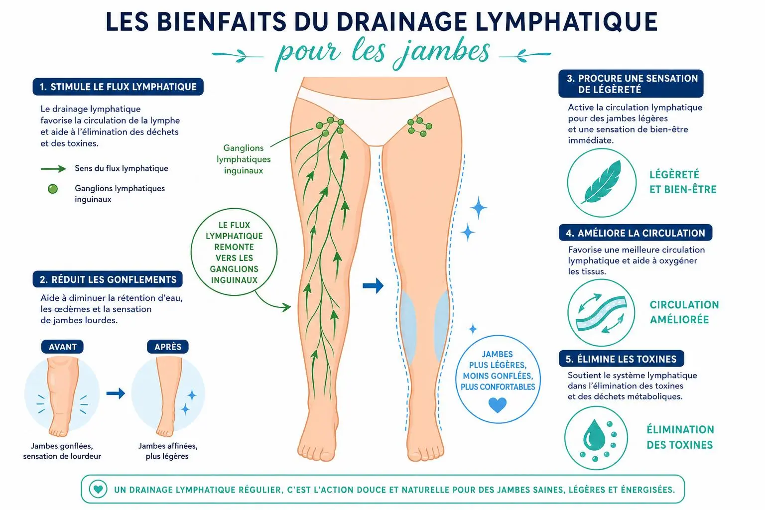 Les bienfaits du drainage lymphatique des jambes: illustration anatomique montrant circulation lymphatique des jambes, amélioration circulation, réduction gonflements et sensation légère des membres.